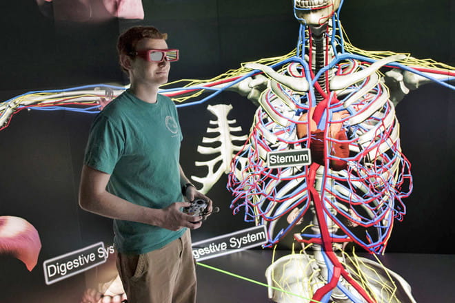 Man viewing a virtual representation of the human body